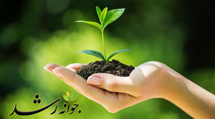 به دپارتمان درمان مرکز مشاوره جوانه رشد تبریز خوش آمدید مرکز مشاوره تبریز