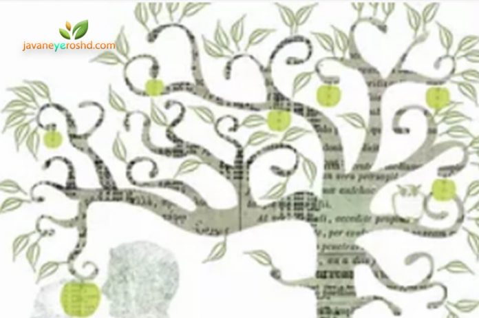 شکل‌گیری نظریه‌های یادگیری