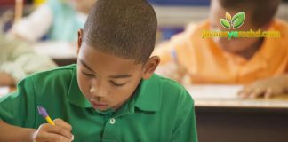 تست هوش برای کودکان – ضرورت اجرای تست هوش برای دانشآموزان دارای ناتوانیهای یادگیری تست هوش