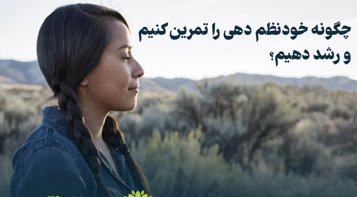 چگونه خود نظم دهی را تمرین کنیم و رشد دهیم؟ چگونه خود نظم دهی را تمرین کنیم و رشد کنیم ؟