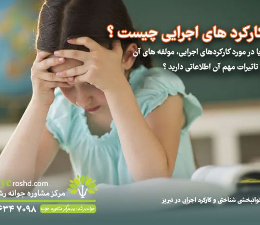 کارکرد های اجرایی چیست ؟ کارکرد های اجرایی چیست ؟ / مرکز مشاوره جوانه رشد تبریز