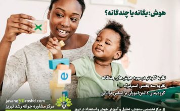هوش: یگانه یا چندگانه؟ نظریه گاردنر در مورد هوشهای چندگانه – نظریه سه بخشی استرنبرگ – گروهبندی دانشآموزان بر اساس توانایی هوش: یگانه یا چندگانه؟ / مرکز مشاوره جوانه رشد تبریز