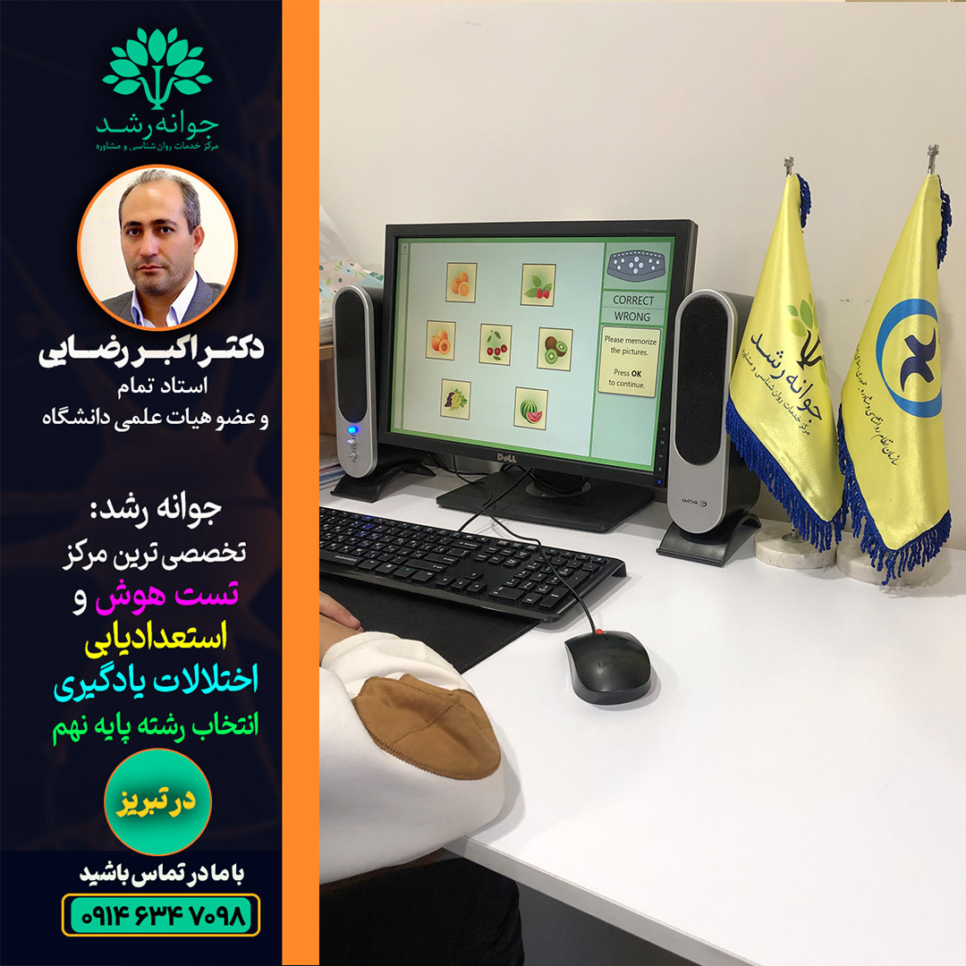 سنجش پردازش دیداری تبریز